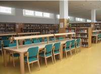 /album/fotogaleria/zona-adultos-jpg/